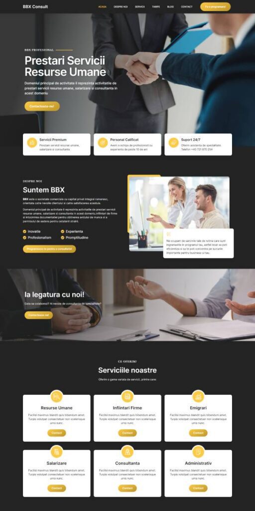 Web Design pentru Firme de Contabilitate sau Consultanta 1 site black bbx consult 600x1200 1