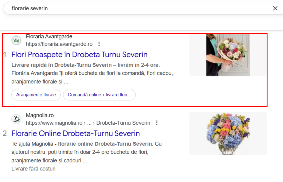 florarie-severin-Căutare-Google-09-04-2025_03_32_PM